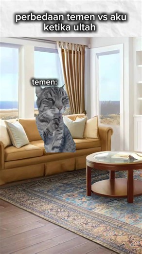 Ketika Temen vs Aku Ketika Ultah: Meme Kucing Lucu