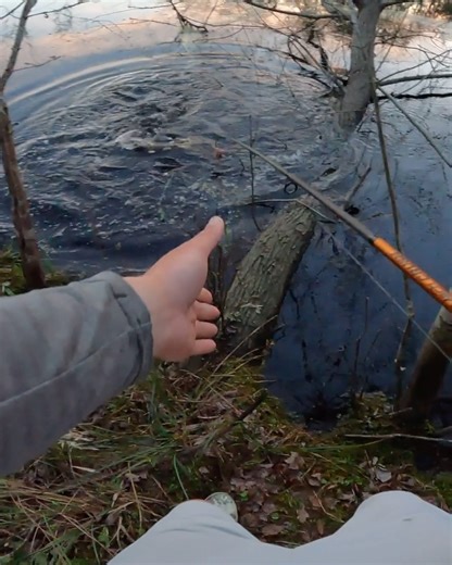Catching a Fish Out of a Tree! | Kickin Their Bass TV