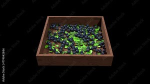 3D blueberry animation. Blueberry with leaves animation. Fruit and healthy food concept. Transparent background with alpha channel Stock Video