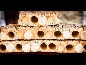 Cork - The most sustainable material in the world.