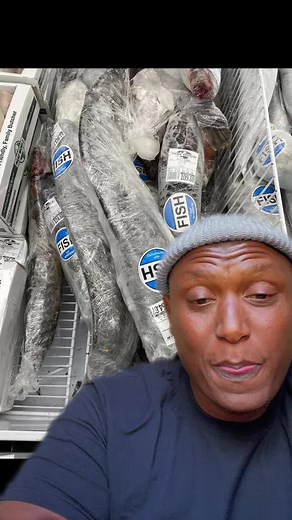 Catfish Farming in South Africa | Day 118