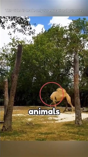 These Animals Keep Moving Even After Death 😲😲