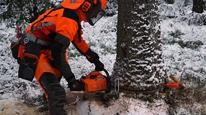 The Husqvarna 65 – a 65CC chainsaw released in 1966 is next in the line-up of our legendary chainsaws. The saw was so powerful and reliable that a Canadian distributor after tes | Husqvarna