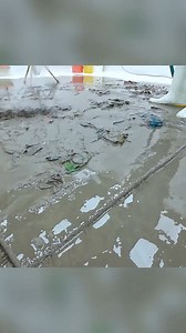 39K views · 454 reactions | DIRTY Carpet Cleaning ASMR – So Satisfying to Watch #soclean #asmr #satisfying #reelsviral #viralreels #fbreels #reelsfb #trendingreels #asmr #reelsfb #fbreels #viralreels #foryou #fyp #asmr #satisfying #asmrsounds #satisfyingsounds | ASMR Cleaning | Facebook