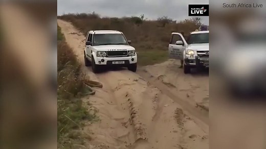 South African tourists run for their lives from giant python