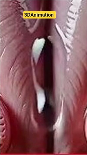 Understanding the Female Reproductive System | Medical Education Guide