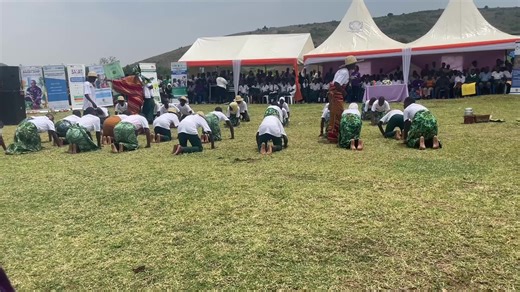 the.roots.4 on TikTok