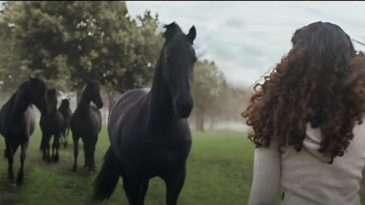 Galloping through the suburbs: Lloyds black horses return in stirring new campaign