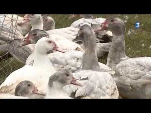 S'installer paysan en Aveyron avec l'Association pour le Développement Agricole