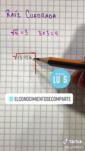 El Profe Luis on TikTok