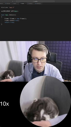 Стёпа на стриме #программирование #кот