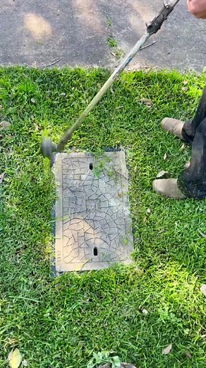 Messing with the algorithm #fyp#nathanslawnsandgardens #viral