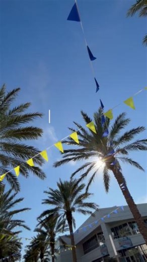 It was amazing seeing our accepted students on campus for Preview Days. Welcome to the nest, Eagles! ✨🦅 #GoERAU #PreviewDays | Embry-Riddle Aeronautical University - Daytona Beach Campus