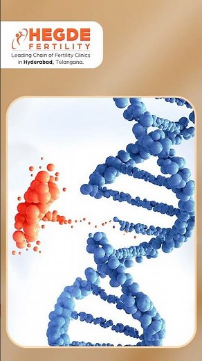 Genetic Screening in Pregnancy | Genetic Disorders in Family Members | What Is a Genetic Test? #IVF