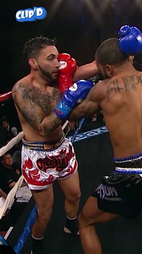 Liver Shot KO! Shepard pinpoint accuracy with the knees 🦵 #muaythai