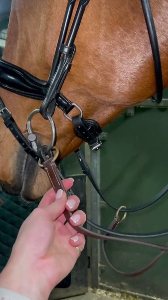 Cringe-worthy equestrian fails you can't ignore