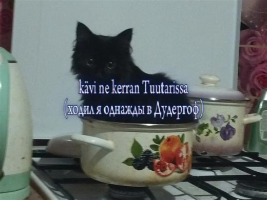 Myllärit – Eta Pravda, an Ingrian Finnish folk song from Leningrad Oblast performed by a band from the Republic of Karelia. #ingria #ingrians #ingrianfinns #uralic #finnougric #russia #щп #щитпост #песня #рекомендации #fyp