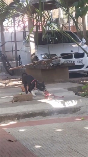 🔥 I'm comming 🔥fun with Kelly # shorts #