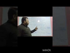 Class 10 chapter 3 EXPLANATION and graphical method