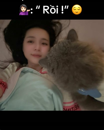 Video Mèo Cute Dễ Thương Trên TikTok