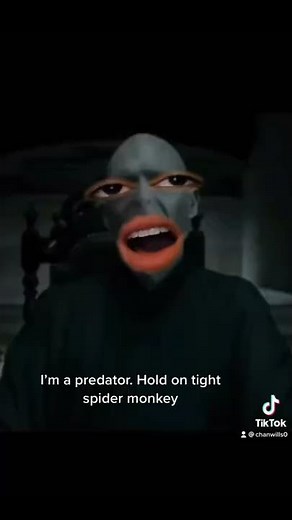 Bellatrix and Voldemort (April repost)