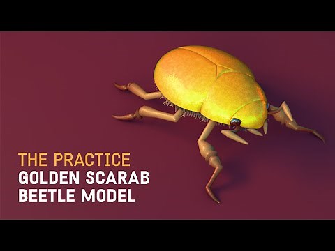 Create a 3D Golden Scarab Beetle Model in Cinema 4d // The Practice 174