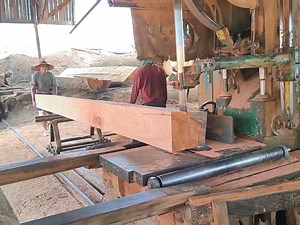 Part 06//sawing large tree trunks for house building materials #Kalimantan #Skill #woodworkingproject #Mesin #skills #skill #wood #machine #sawmills #sawmillindonesia #merantiwood #ideas #woodworkingtips | Sawmill indonesia