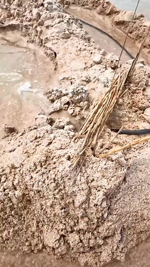 3.4K views | Using the M12 pump stick at the beach ️ #tools #diy-002 | Glinda Kennedy | Facebook