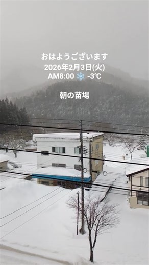 2026年2月3日(火)朝の苗場 #苗場 #移住 #自然 #自然農 #癒し #ヒーリング #浄化 #まったり