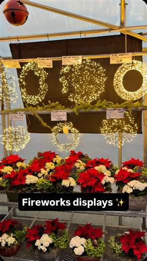 Springbank Greenhouses on Instagram: "These fireworks trees and wreaths make an amazing display that adds light to any space ✨ OPEN daily 10 to 5 ⏰"