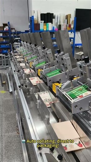 🤖 Smart Friction Feeder Collating Line | Replace Manual Feeding & Boost Efficiency!