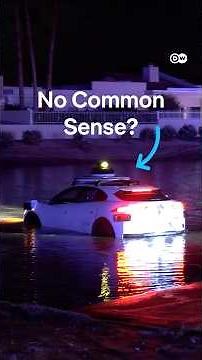Do Self-Driving Cars Lack Common Sense?