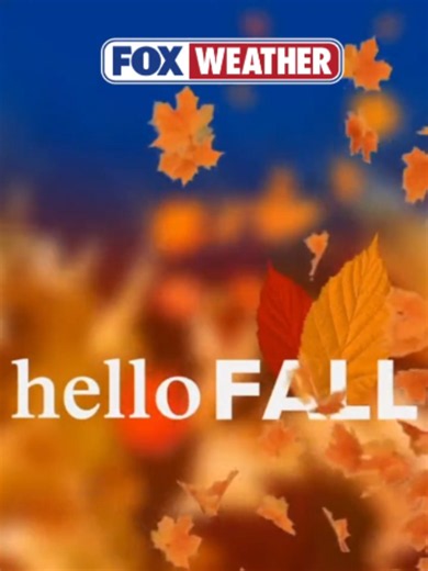 🍂 FALL HAS ARRIVED: It's official! Autumn has begun across the Northern Hemisphere. Grab the hoodies and pumpkin spice-- longer nights, crisp air, and prime leaf-peeping weather are on the way! FOX Weather has you covered all season long. Join the conversation and let us know your fall plans in the comments! #FOXWeather #Weather #Fall #Autumn #ShorterDays