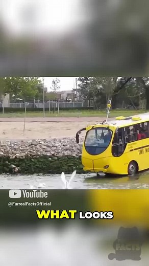 Discover the Waterbus: The Netherlands' Unique Transport