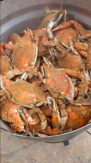 Maryland Blue Crabs | Steamed J.O Spice #unclenate