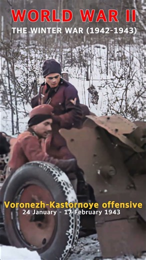 Voronezh–Kharkov strategic offensive, the 1943 winter battle of World War II #ww2 #history #panzer