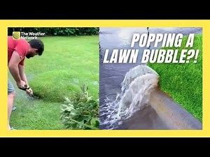 Ever Noticed Water Bubbles in Your Grass? Here's What to Do