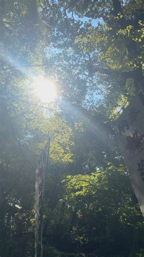 258 reactions · 8 comments | 【Step Back in Time with a Stay in...