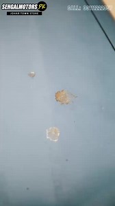 Pakistan’s Favourite Shellac Remover – Maximus Hybrid in Action ✔ Shop Now: https://sehgalmotors.pk/products/maximus-hybrid-shellac-remover-500ml ✔ Call : 03111222357 ✔ Branches: https://sehgalmotors.pk/pages/store-locator #sehgalmotors #MaximusHybrid #ShellacRemover #CarCare #BestShellacRemover #CarCleaning | SehgalMotors.PK