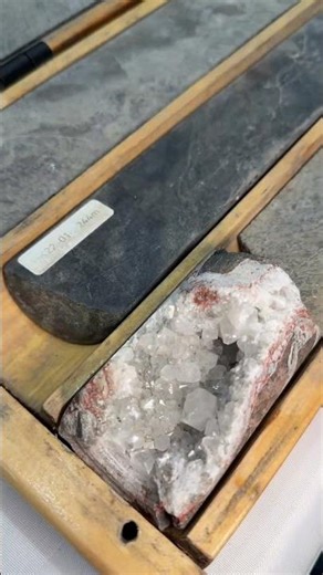 Regan Glazier Neotech Metals CEO attended PDAC highlighting progress across the rare earth portfolio