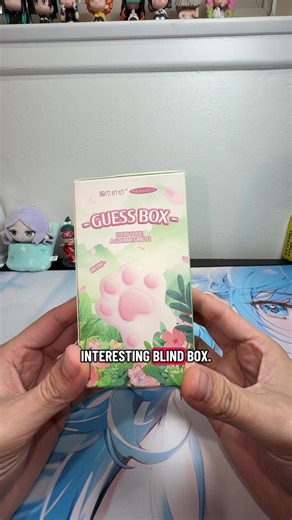 Unique Cat Claw Blind Box Opening Experience
