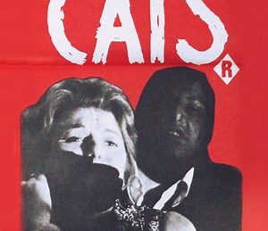 Because of the Cats Summary, Trailer, Cast, Where to Watch and More