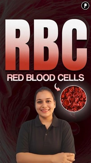 RBC: Red Blood Cell Facts (Formation, Function, Diseases)