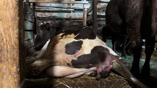 M_a_k_s_2020 (@m_a_k_s_2020)’s videos with оригинальный звук - M_a_k_s_2020