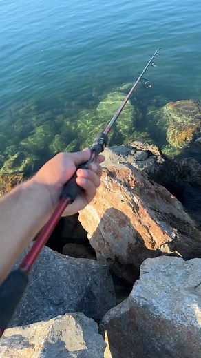 #fishing #adelaidefishing #fishingaustralia #bigfish #fishingrod | Fishing Big Fish