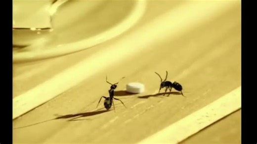 SILVER SPOON: Sugar Ants (Dave Trott) | Dave Trott | 16 comments