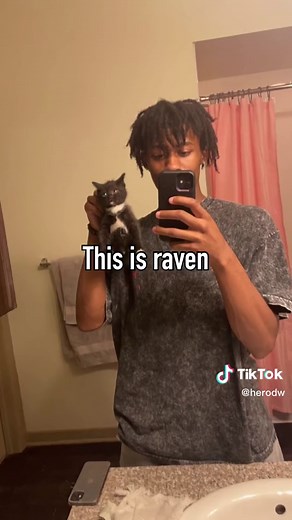 Raising Awareness for Feline Leukemia Virus (FeLV) in Cats