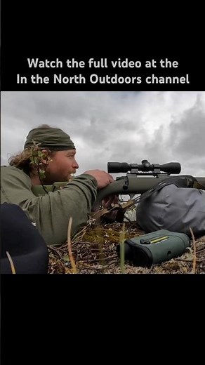 Alaska backcountry grizzly and moose hunt.