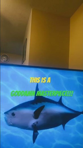 SpongeBob intro fandub French from France