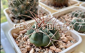 【日常】多图流盘点一下